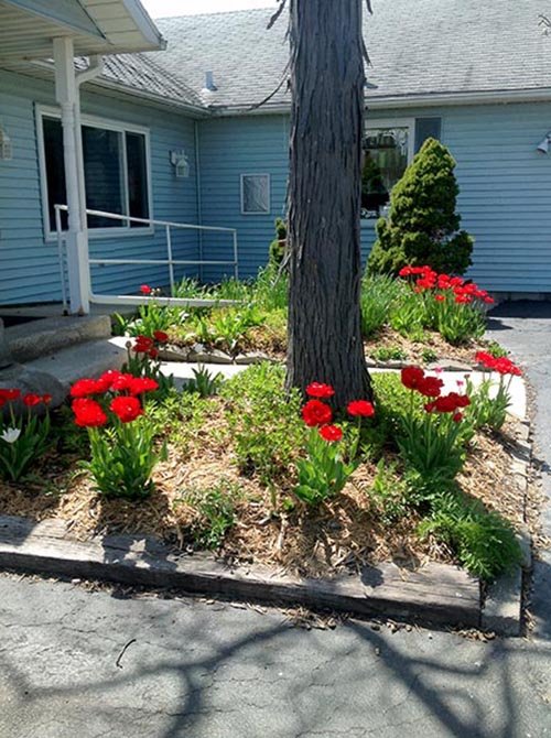 Entrance Handicap Accessible - REAL ESTATE AUCTION, Crossroads Flowers